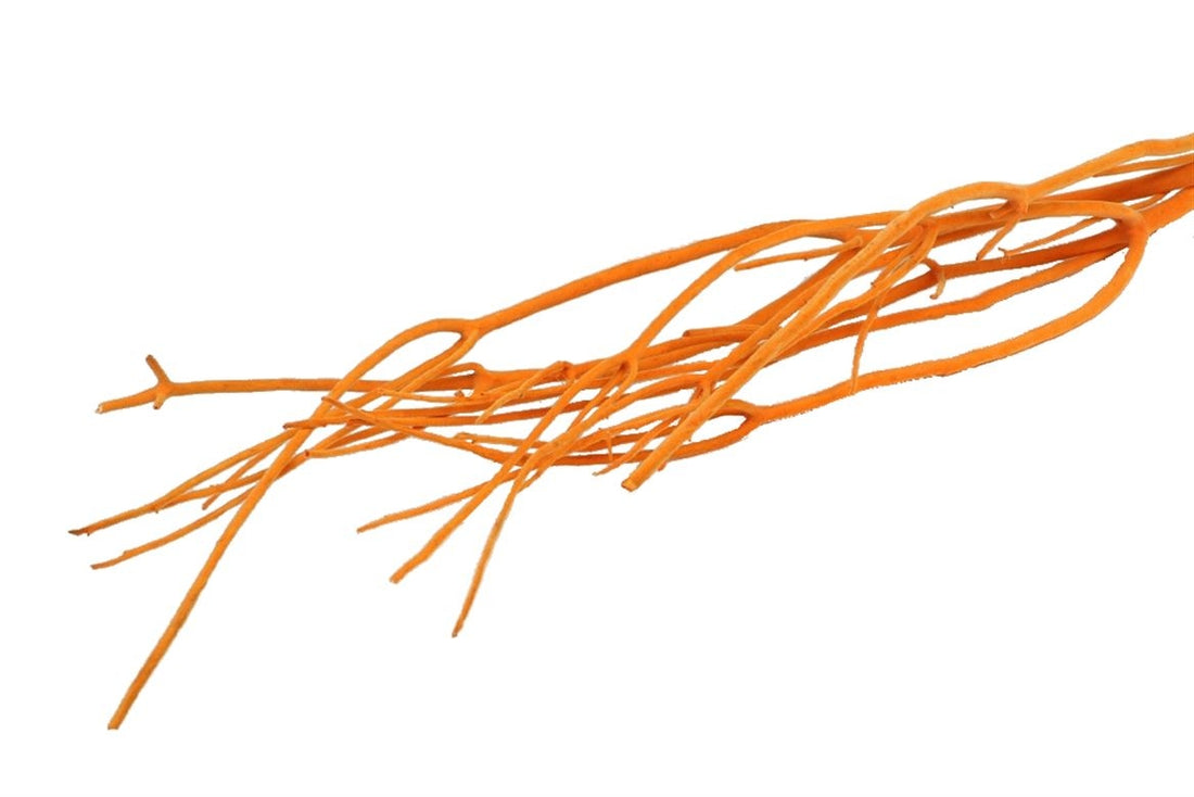 Mitsumata Flock Orange par 3 branches