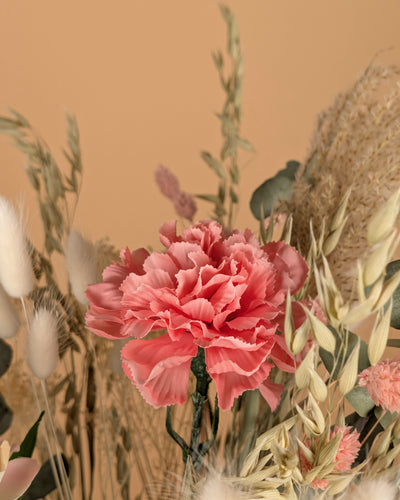 Trockenstrauß wirklich geliebt