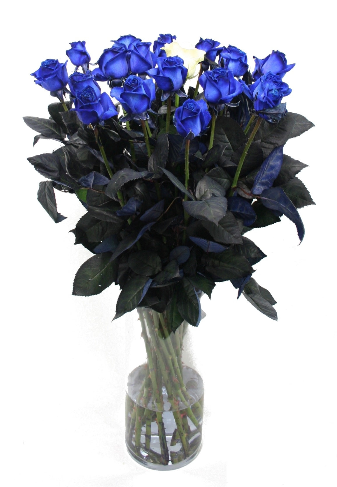 Bouquet de roses de 10 longues roses bleues avec 1 rose blanche