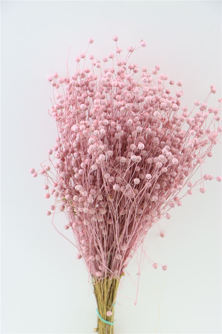 Dried Lino Frosted Pink
