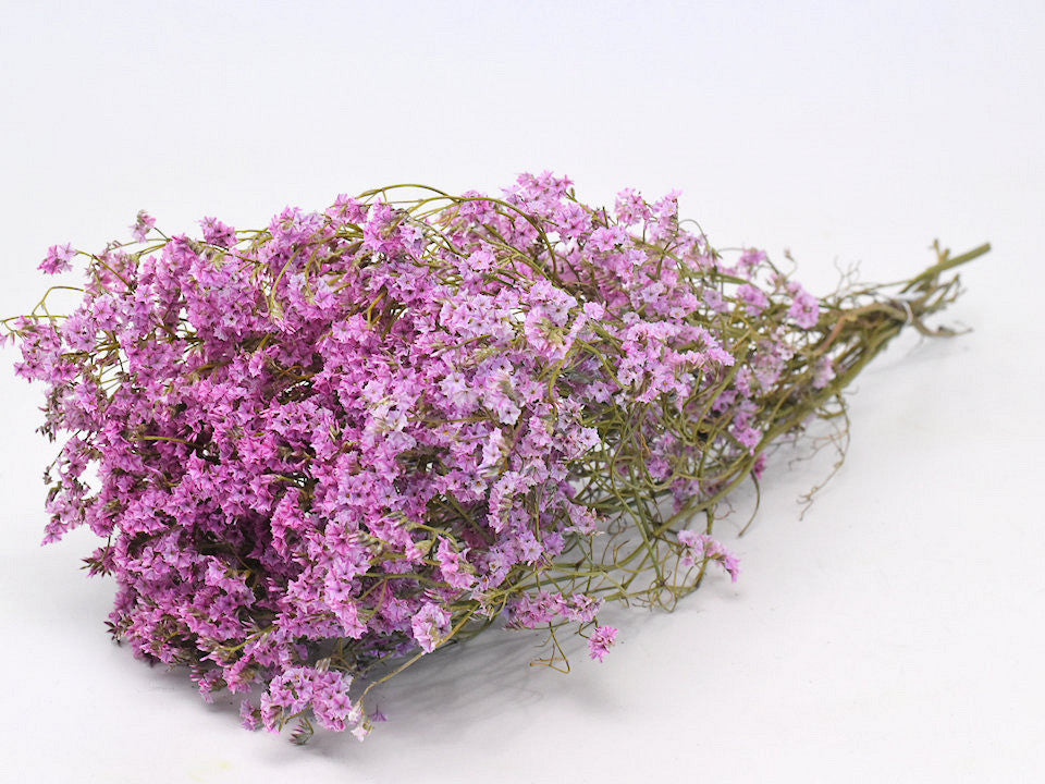 Limonium 60 cm rose clair