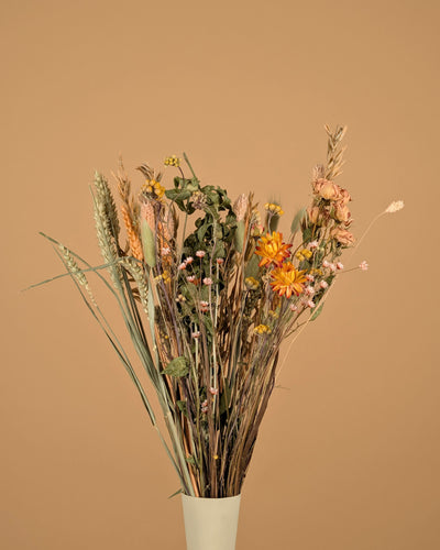 Trockenstrauß wirklich geliebt