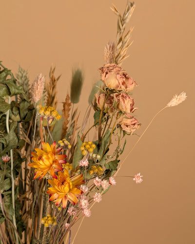 Trockenstrauß wirklich geliebt