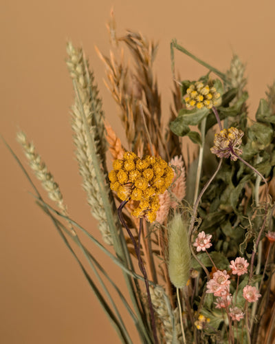 Trockenstrauß wirklich geliebt