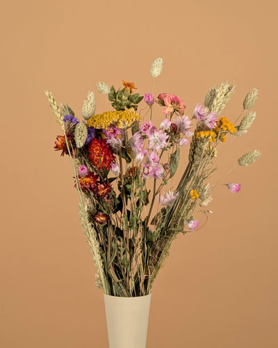 Dried field bouquet colorful