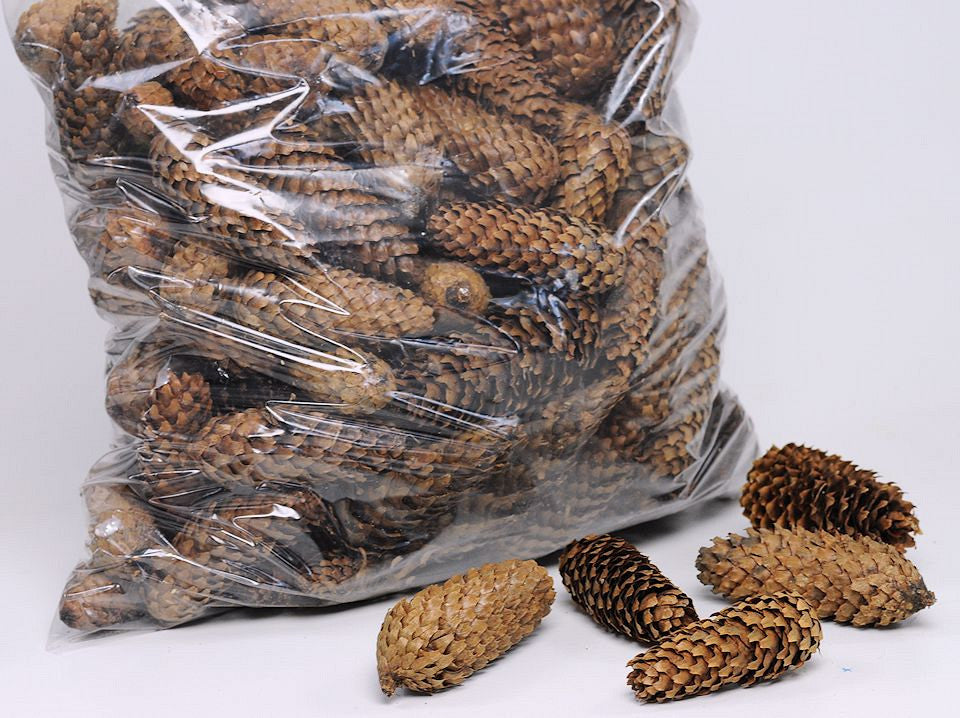 Fine spruce pine cones per kilo