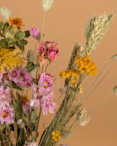 Dried field bouquet colorful