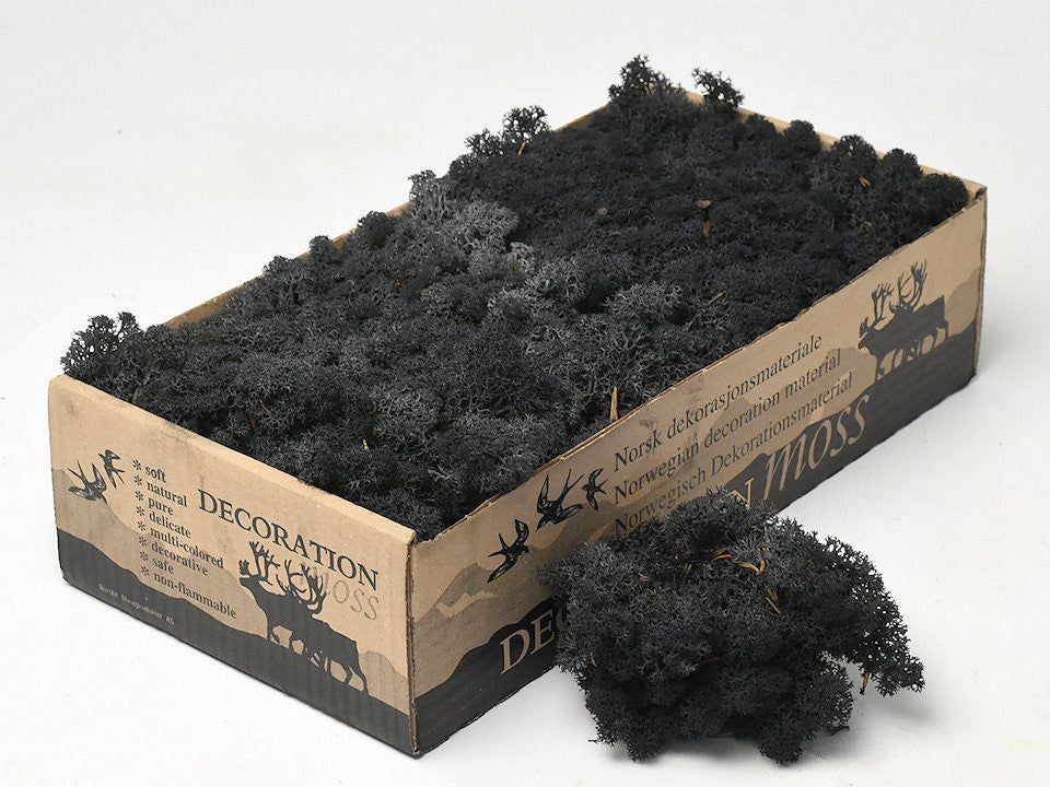 Reindeer Moss Black 500gr.