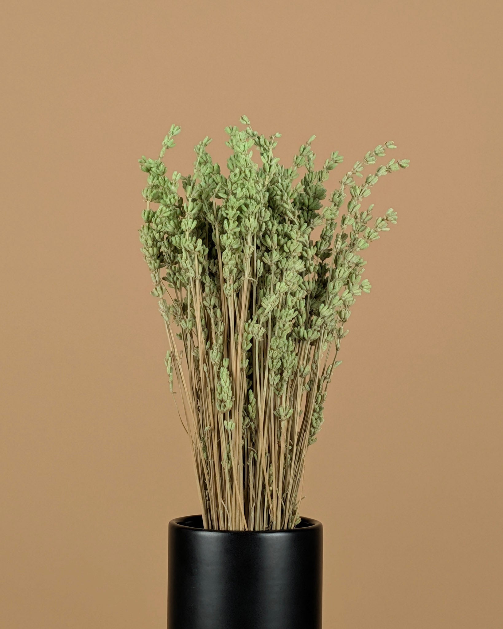 Gedroogde lavendel – mintgroen