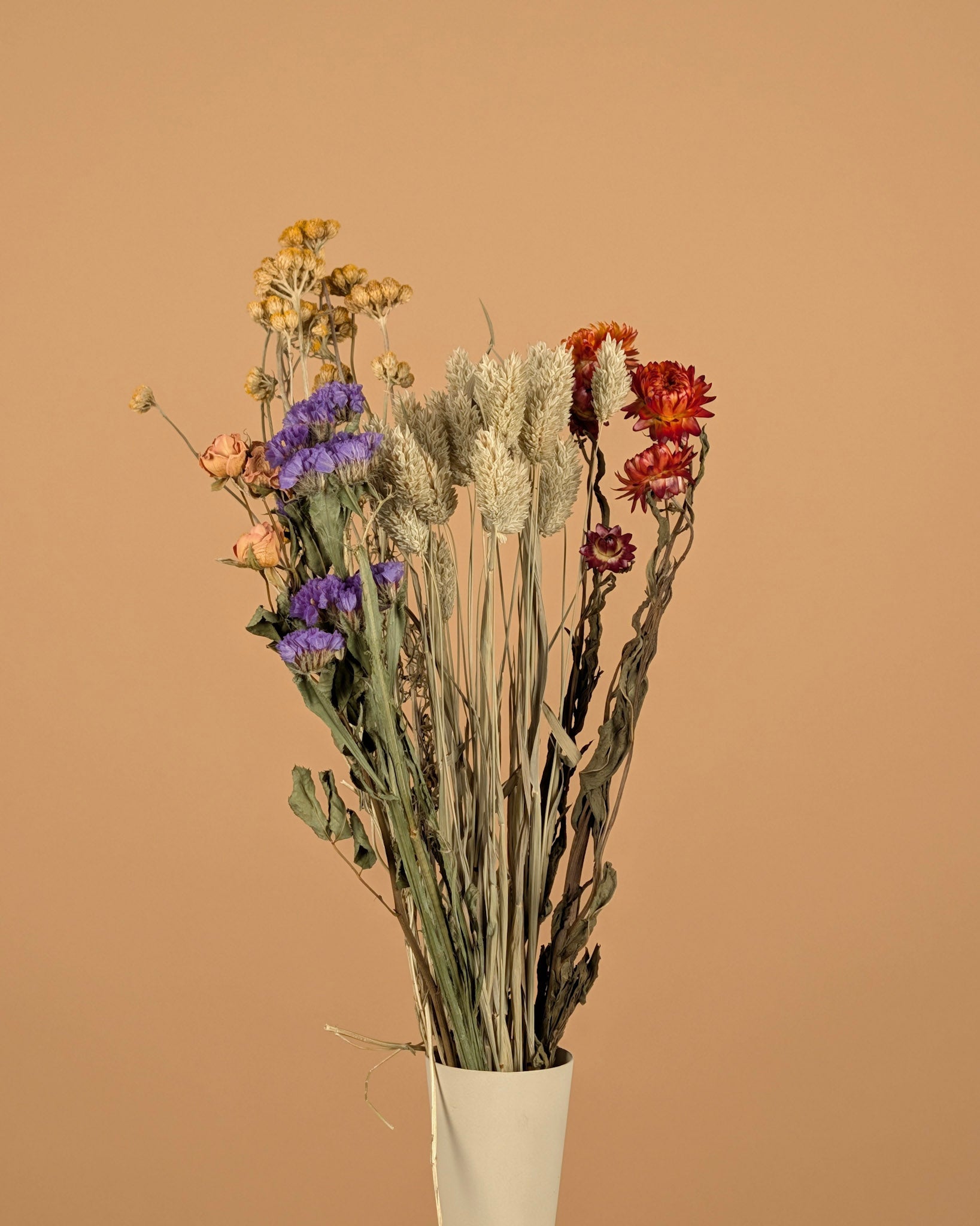 Trockener Bouquet Bunte DIY