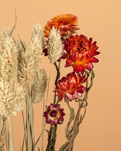 Trockener Bouquet Bunte DIY