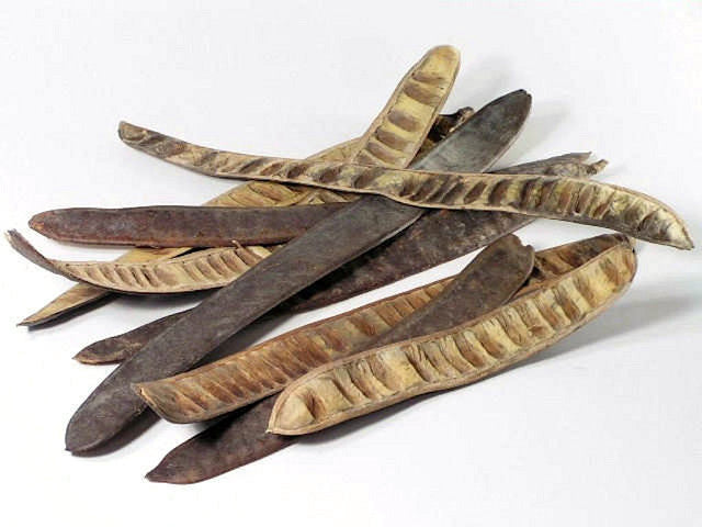 Fruit de pas 30 à 40 cm 50 pack