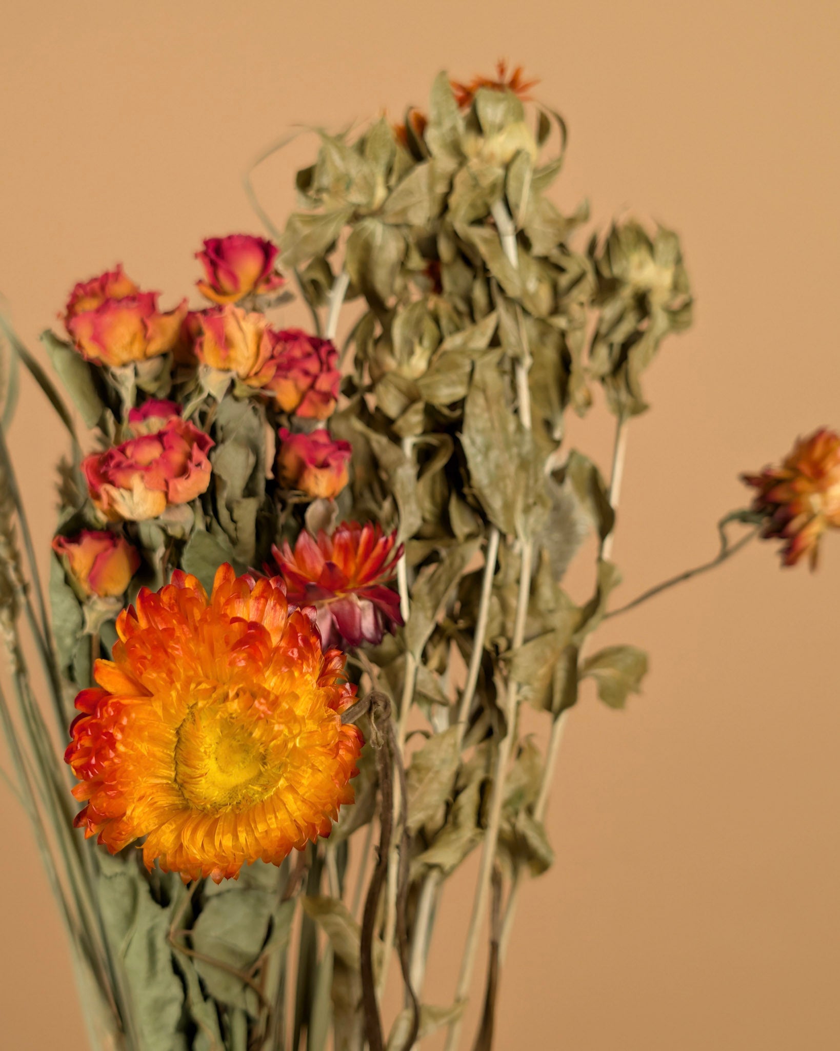 Bouquet sec du marché bricolage orange