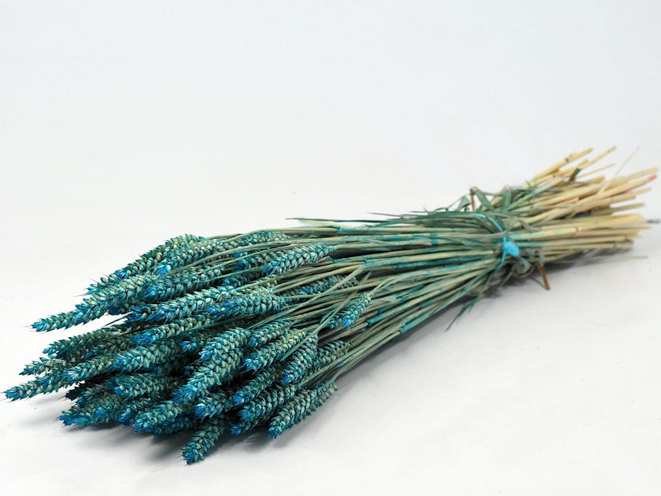 Wheat petrol blue 70 cm