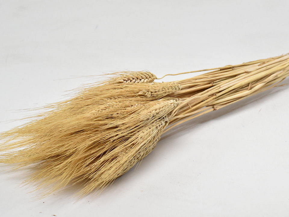 Wheat Blond Beard 200gr 75cm