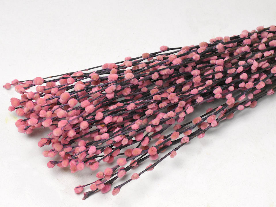 Willow catkins 90cm Pink 50 suit