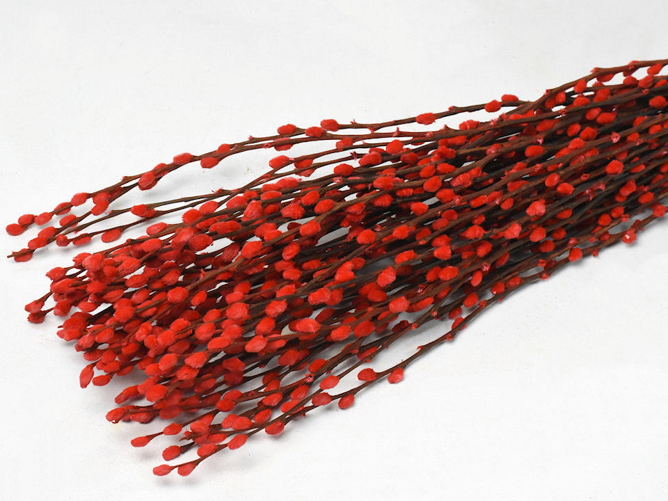 Willow catkins 70cm red 50-suit