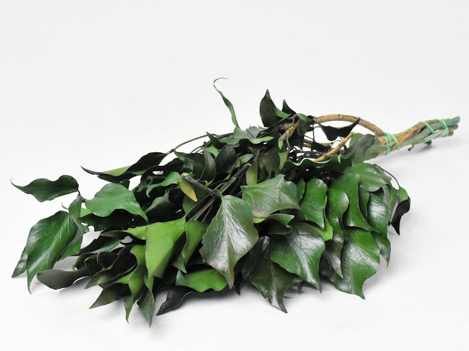 Hedera Klimop Groen 40-50 cm