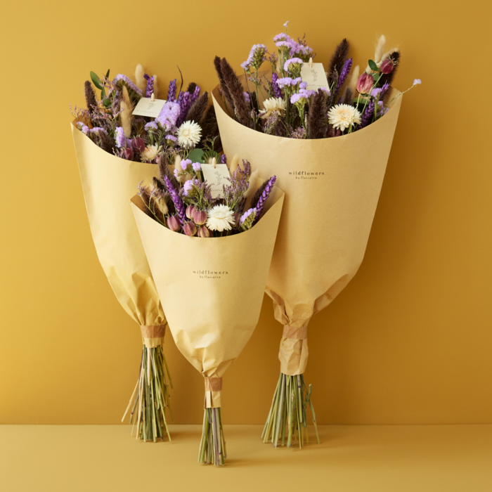 Gedroogde bloemen - Veldboeket - Weideviolet