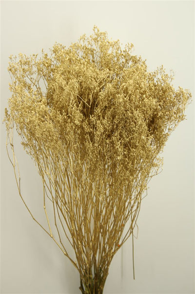 Gypsophila gold (painted)