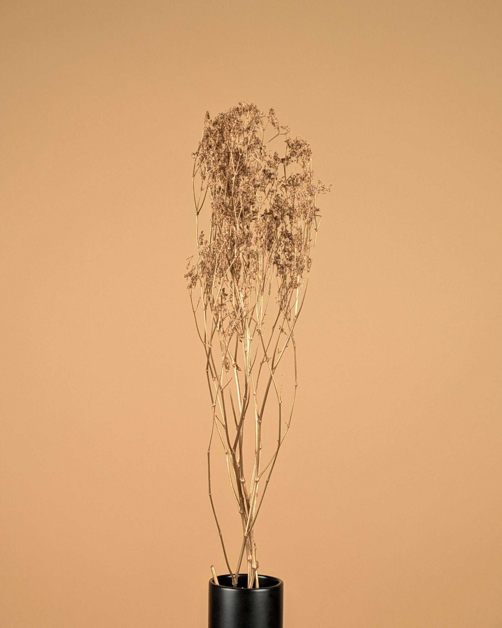 Gypsophila gold (painted)