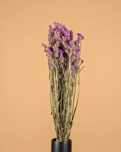 Dried Statice Pink