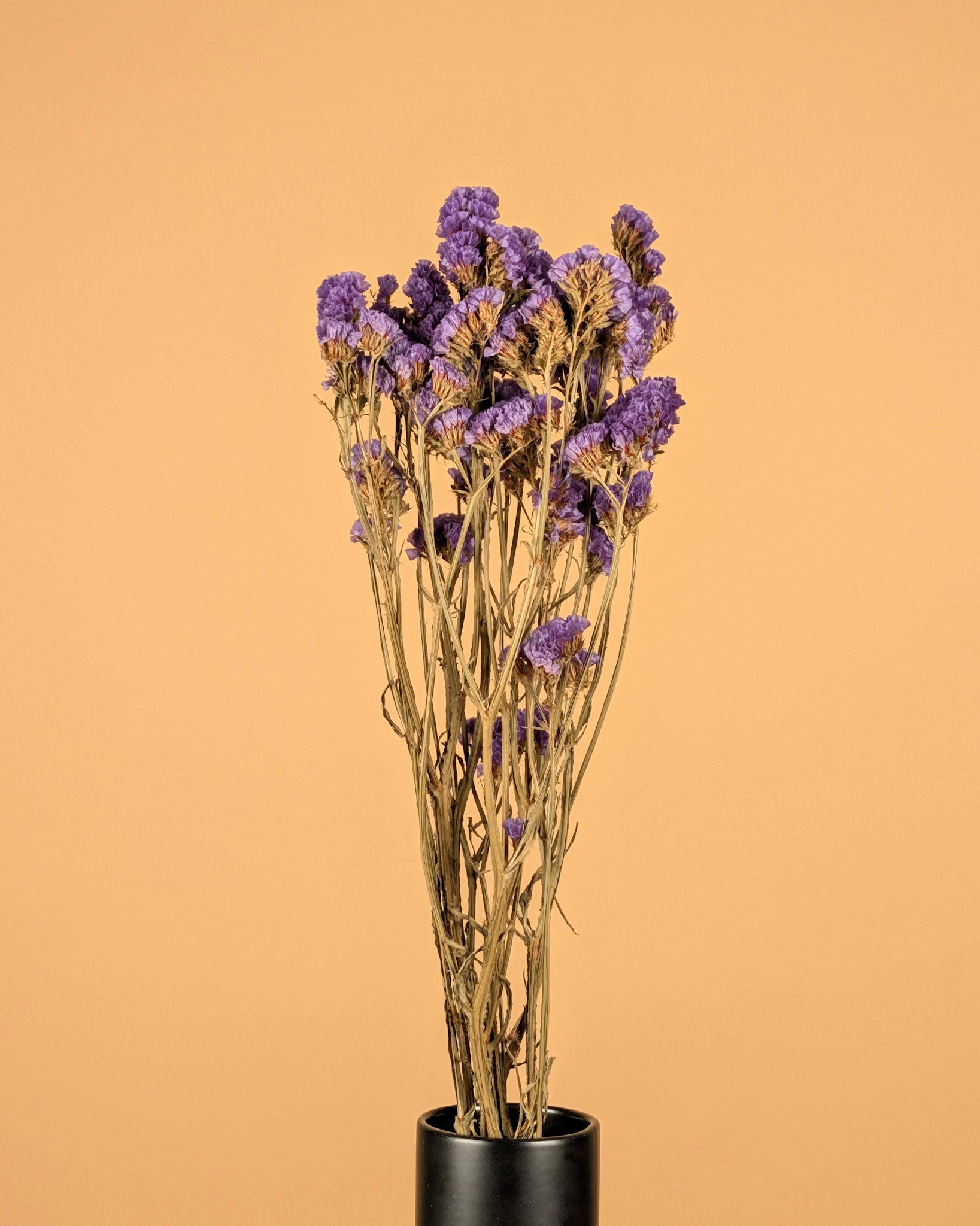 Dried Statice Sinuata Donker Violet