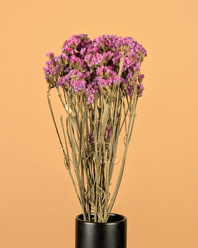 Gedroogde statice sinuata – lila