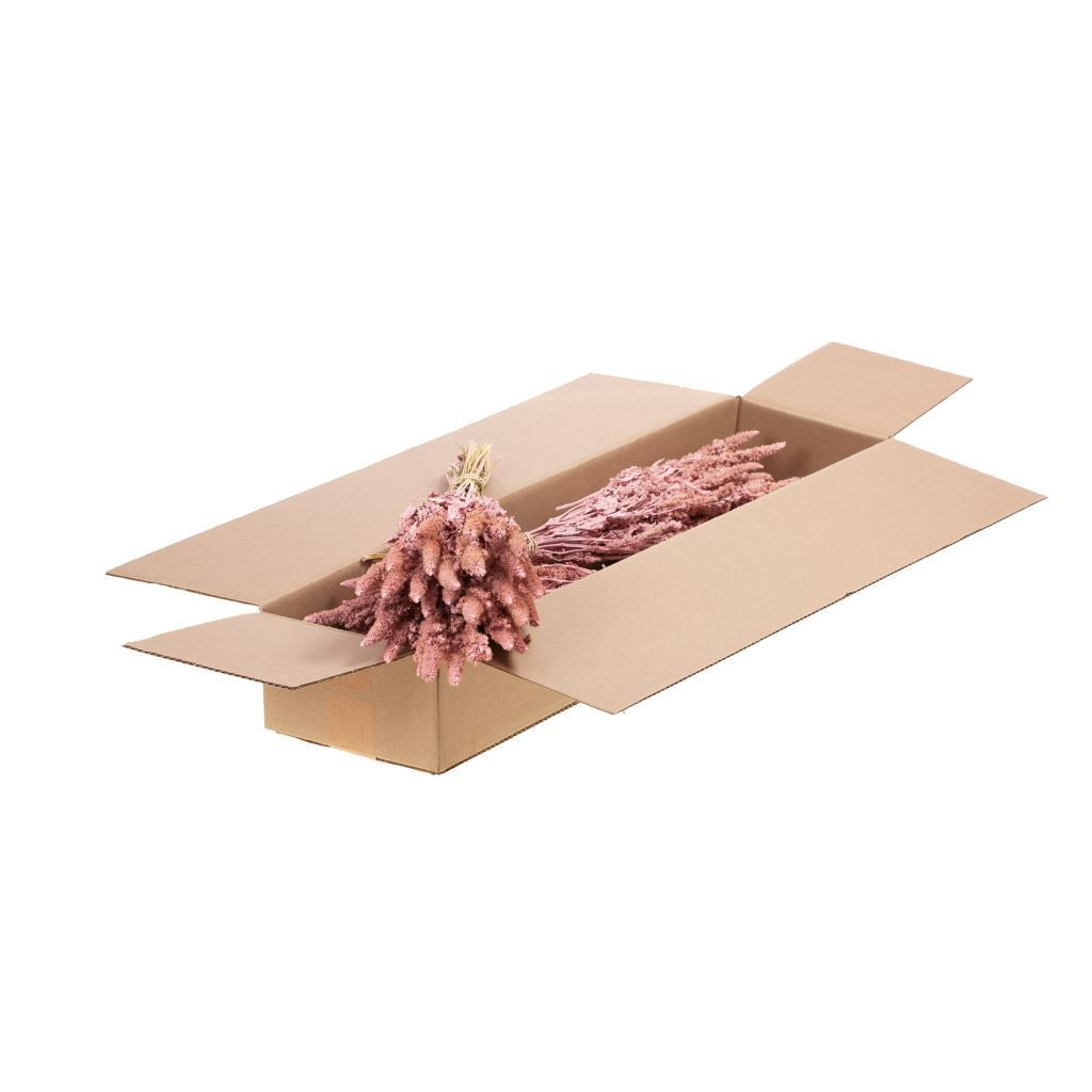 Gedroogde amaranthus – misty roze