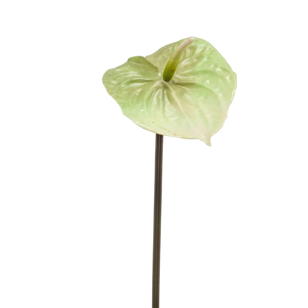 Anthurium en soie – Vert clair (65 cm)