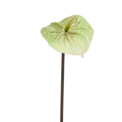 Anthurium en soie – Vert clair (65 cm)