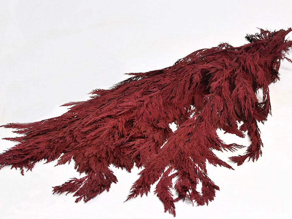 Nadelbaum rot 100 cm 1 kg