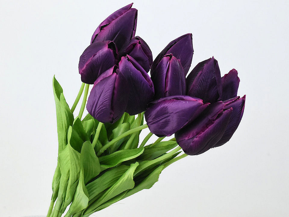 Tulp Purple 50cm