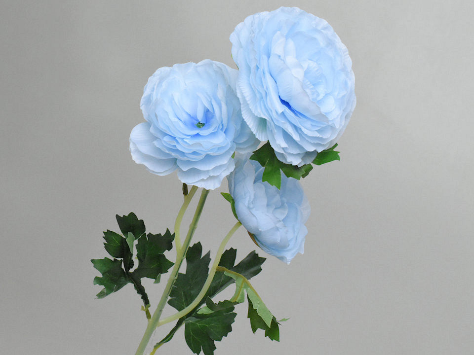 Art Camelia Blue 70cm