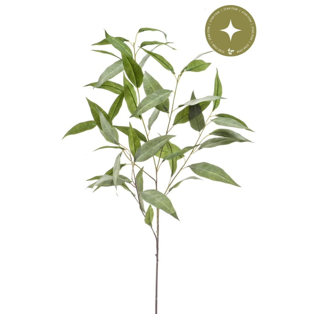 Eucalyptus soyeux – Gris (93 cm)