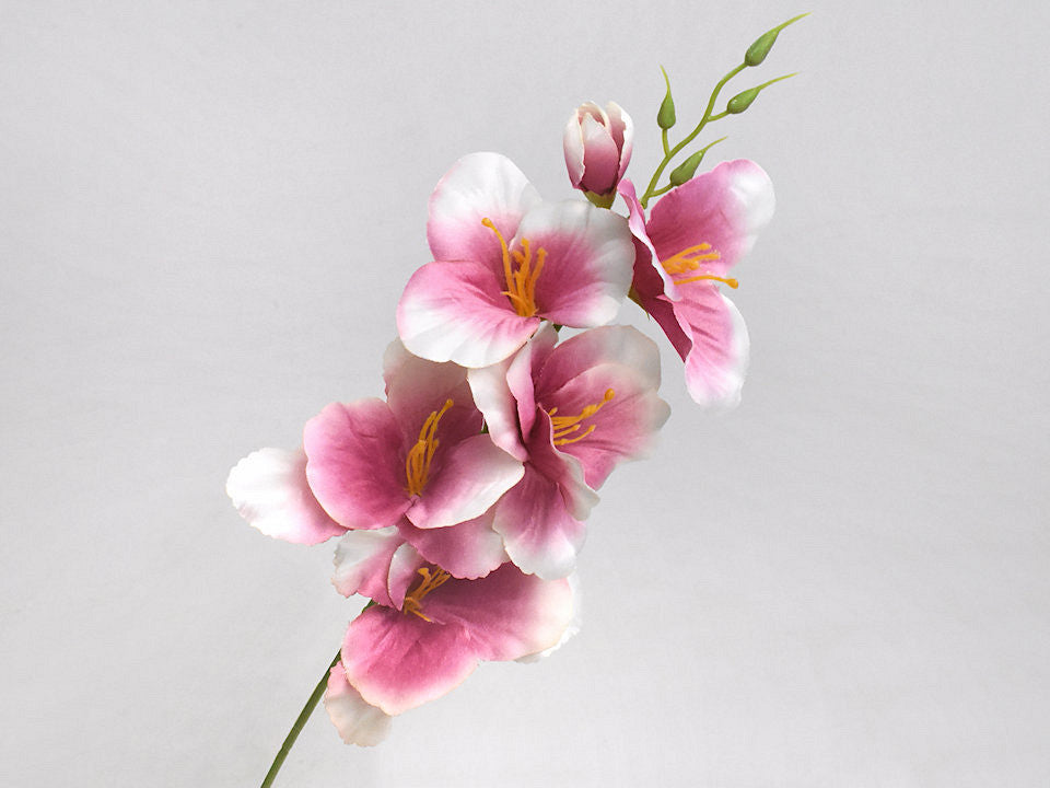 Art Gladiola Dark pink 54cm