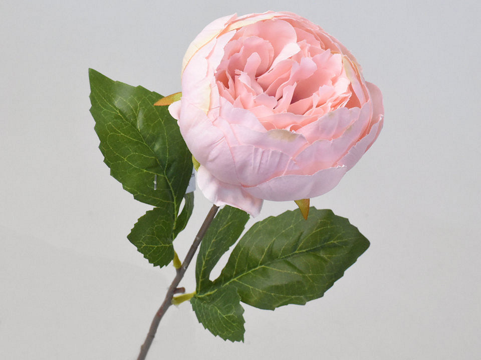 Art Peon Pink 42cm