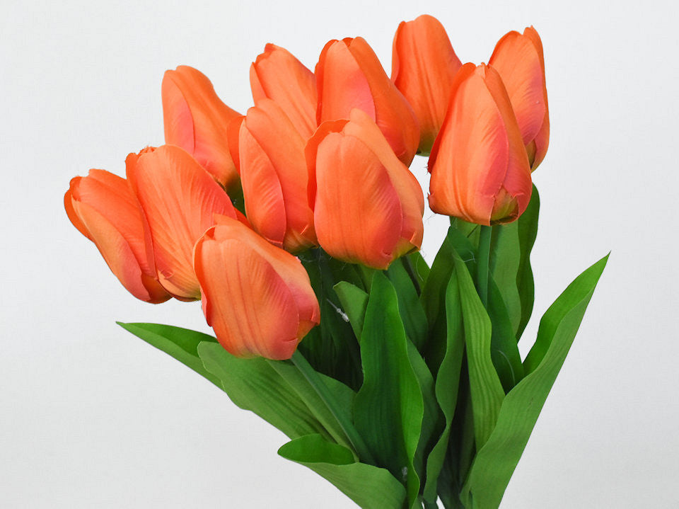 Tulipe orange 60 cm