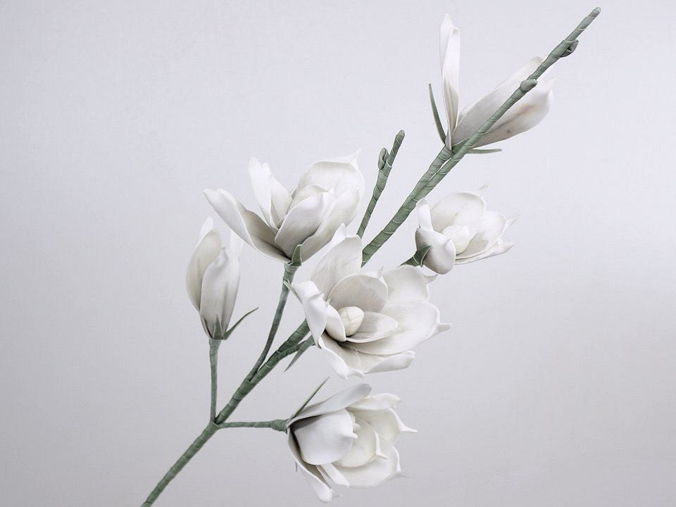 Schaummagnolie weiß/grau, d 18 cm