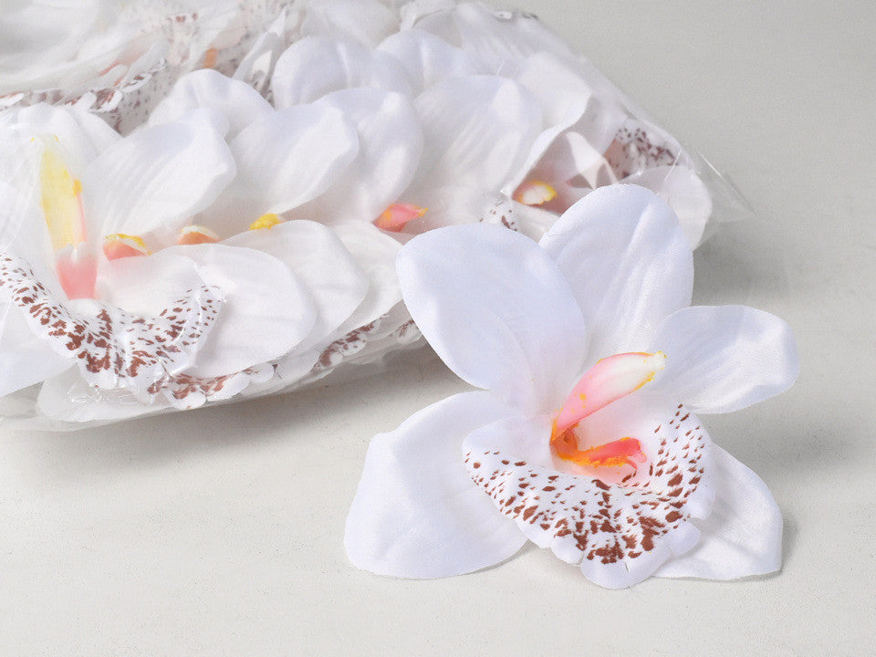 Orchid White/Bruind13cm