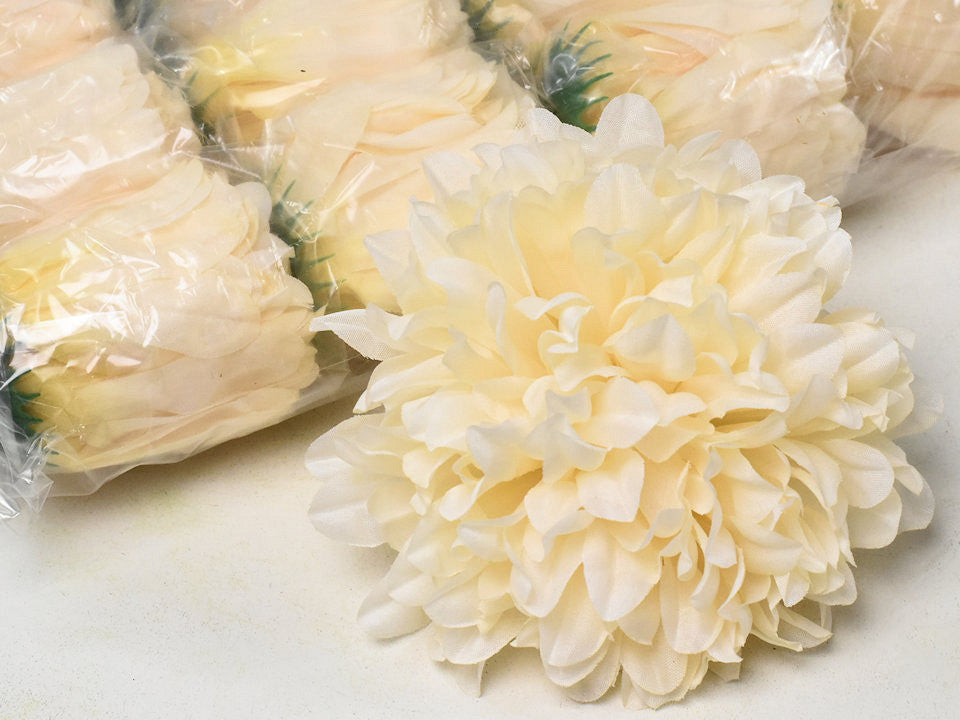 Chrysanthemum Automne Cream D15cm