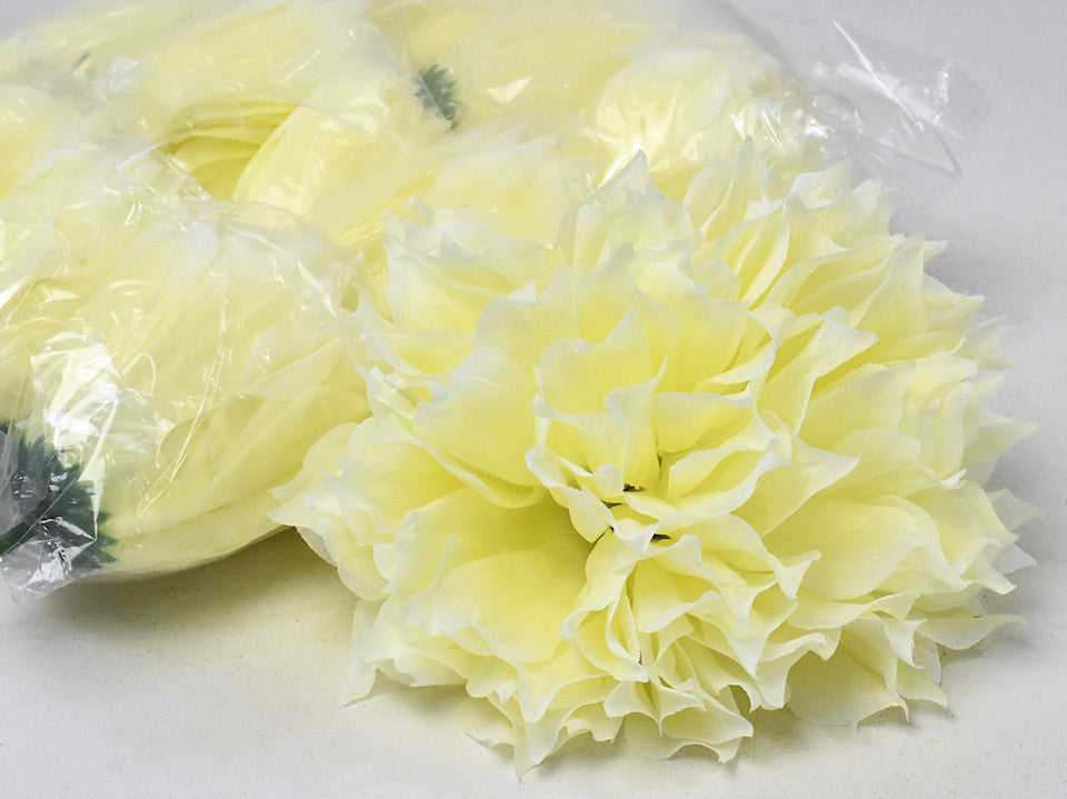 Dahlia D16CM cream