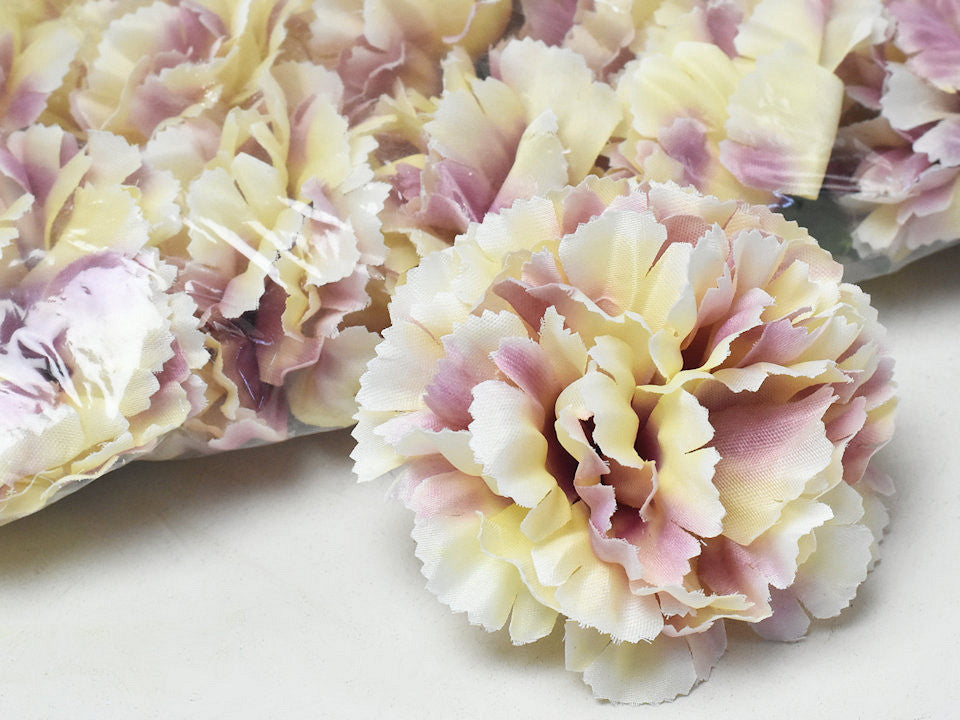 Carnation cream D9cm