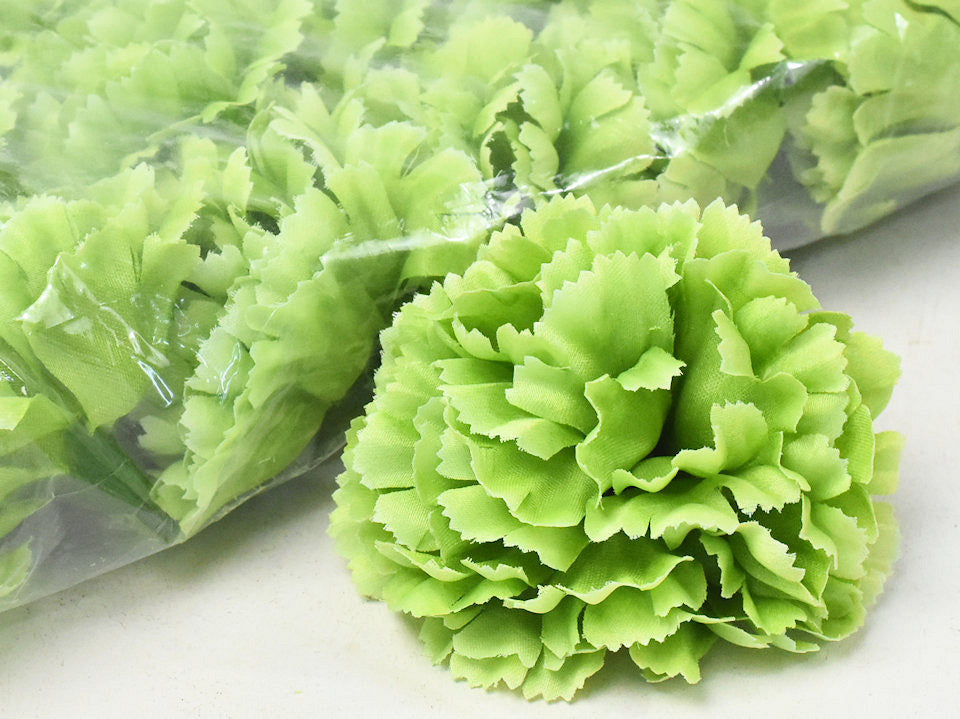 Carnation green D9cm