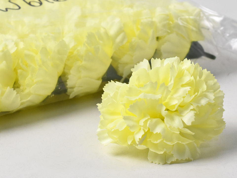 Carnation yellow D9cm