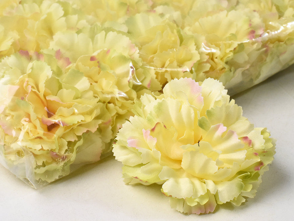 Carnation yellow D9cm