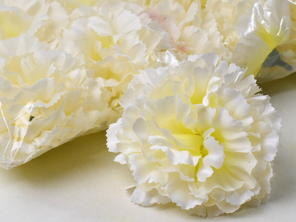 Carnation cream D9cm