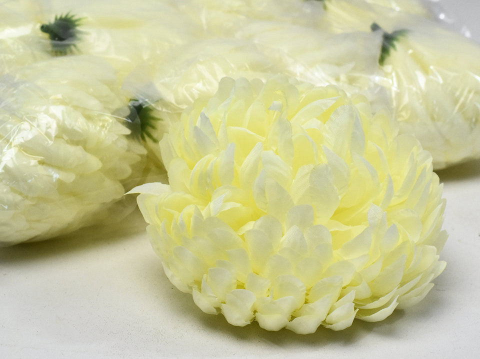 Chrysanthemum jaune / crème d13cm