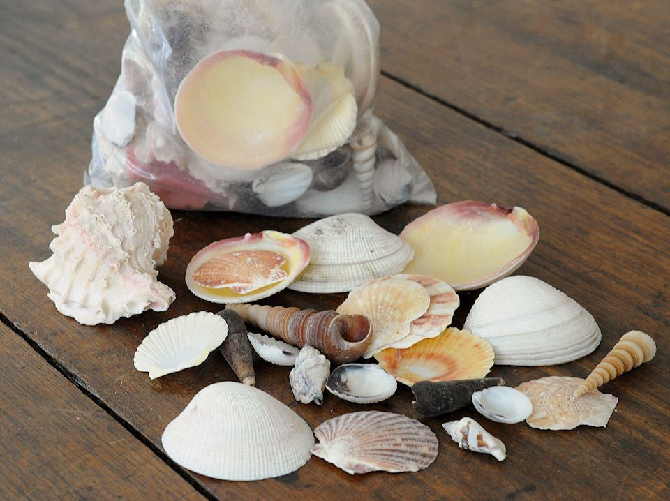 Shell mix 1 kg