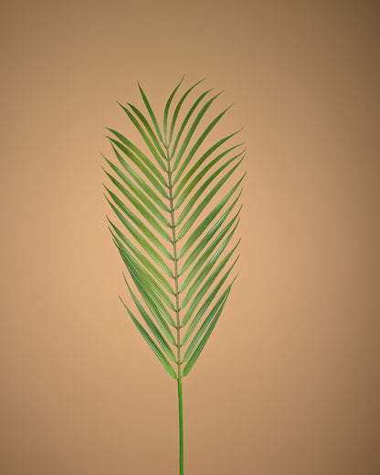 Zijde Chamaedorea – Groen (75 cm)